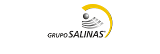 Grupo Salinas
